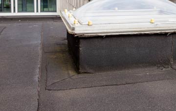 disadvantages of Lank flat roofs